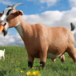 Can Goats Have Carrots? Everything You Need to Know