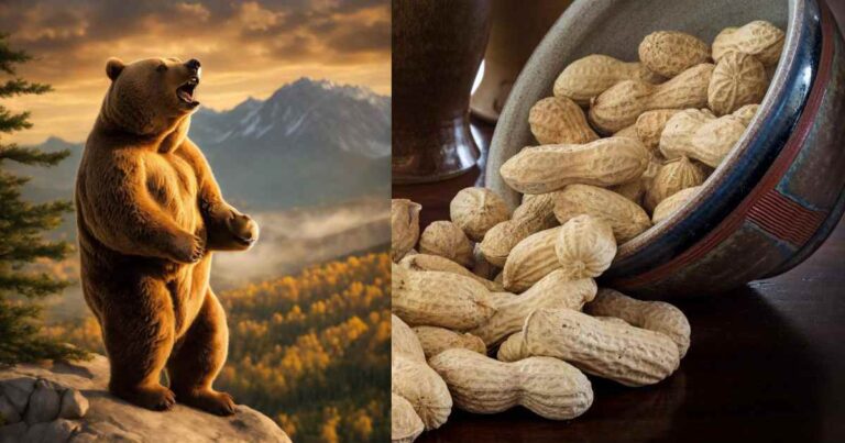 Bear Food Peanuts: Why Peanuts Are Essential in a Bear's Diet