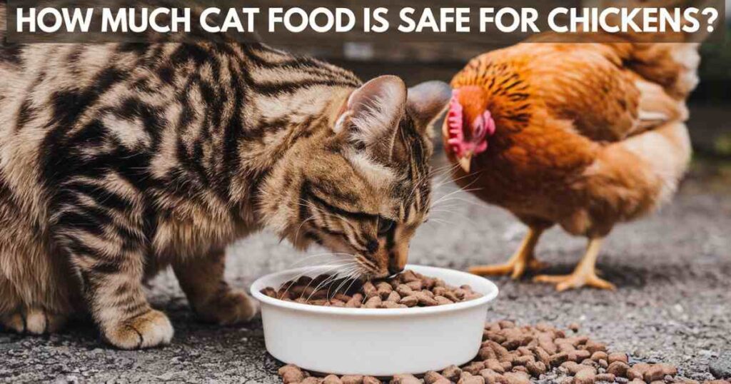 How Much Cat Food is Safe for Chickens?