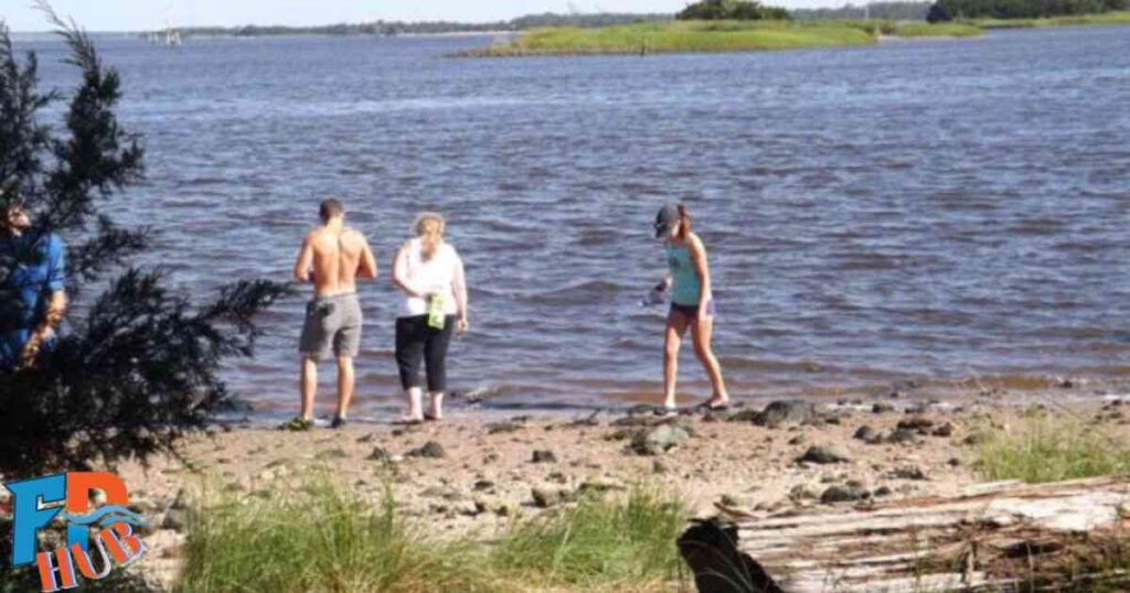 Best Times to Visit Shark Tooth Island NC