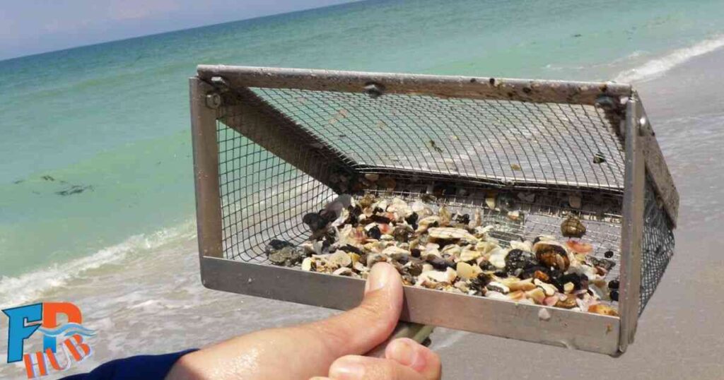 Shark Tooth Hunting Techniques on Shark Tooth Island NC