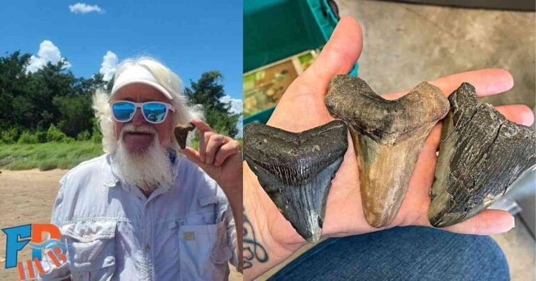 Shark Tooth Island NC: A Fossil Hunter's Paradise